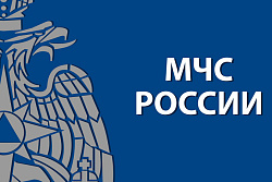 МЧС предупреждает о риске роста пожаров из-за аномальных морозов в России
