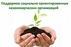 Конкурсы субсидий для социально ориентированных некоммерческих организаций (СОНКО) исполнительных органов государственной власти Иркутской области на 2020 год