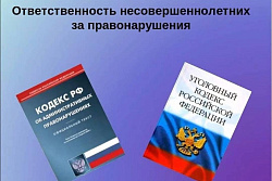 Виды ответственности несовершеннолетних за совершение  противоправных деяний