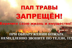 ПАМЯТКА О ЗАПРЕТЕ ОТЖИГА СУХОЙ РАСТИТЕЛЬНОСТИ 