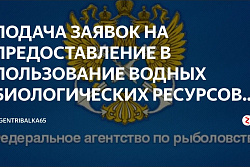 О предоставлении водных биологических ресурсов в пользование для осуществления традиционного рыболовства в Иркутской области на 2023 год