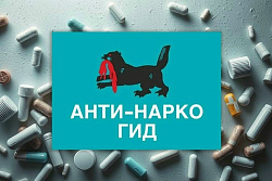 Жители Иркутской области с помощью чат-бота в МАХ могут сообщать о пропаганде и распространении наркотиков
