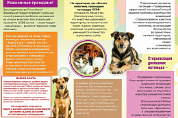 Памятка о животных без владельцев 