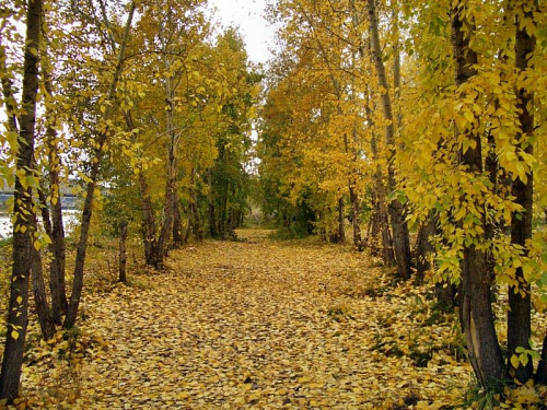 Общие фотографии