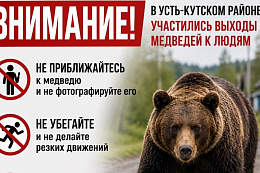  Внимание! В Усть-Кутском районе участились случаи выхода медведей к людям