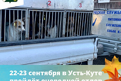 22-23 сентября в Усть-Кутском районе пройдёт отлов собак без владельцев