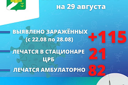 За неделю в Усть-Кутском районе выявлено 115 новых случаев коронавируса