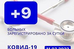 За сутки в Усть-Кутском районе выявлено 9 новых случаев коронавируса.