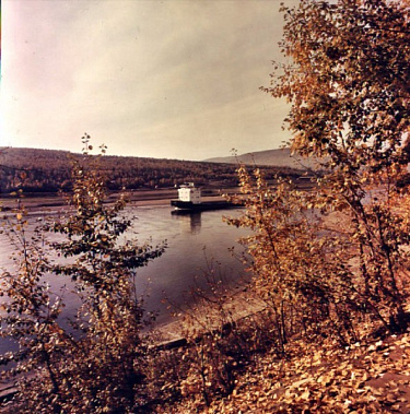 Общие фотографии