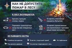 Берегите лес от пожара! 