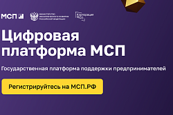 Цифровая платформа МСП