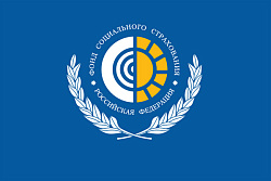 Информация ФСС