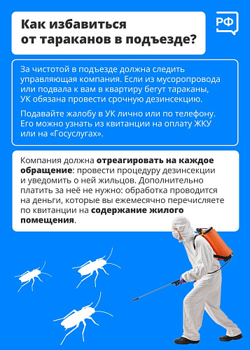 Какие законы помогут навести порядок в подъезде?