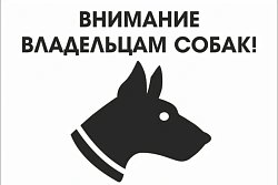 Убедительная просьба держать своих собак на привязи