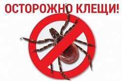 О проведении «горячей линии» по профилактике клещевых инфекций