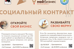 Государственная социальная помощь на основании социального контракта