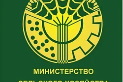 Чат в сервисе «МАХ» Министерства сельского хозяйства Иркутской области 