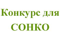 Конкурс социальных проектов.