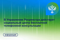 В Управлении Росреестра действует социальный центр бесплатной телефонной консультации