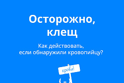 Осторожно! Клещ!
