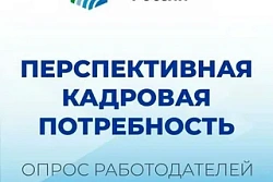 О проведении Всероссийского опроса работодателей о потребности в кадрах
