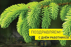 С днём работников леса и лесной промышленности!