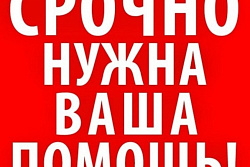 Внимание! Нужна помощь!