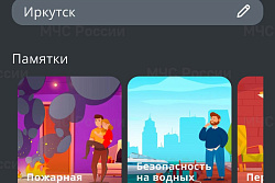 Более 70 тысяч сообщений с экстренной информацией получили пользователи мобильного приложения «МЧС России»