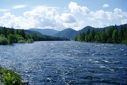 О результатах мониторинга качества воды водных объектов