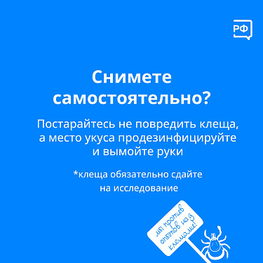 Осторожно! Клещ!