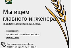 Вакансия в Администрации УКМО: главный инженер