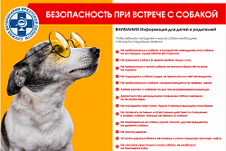 Безопасность при встрече с собакой
