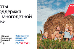 Развитие жизненных ситуаций на Госуслугах продолжилось в 2026 году