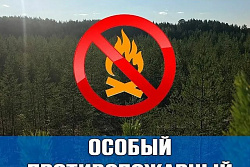 Уважаемые граждане, охотники и рыболовы Усть-Кутского района! Продолжает действовать запрет на посещение лесов!