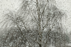 Усиление ветра, снег, метели, понижение температуры ожидаются в ряде районов Иркутской области 7 декабря