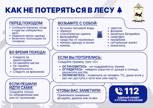 Как не потеряться в лесу: важная памятка от ГУ МВД Иркутской области