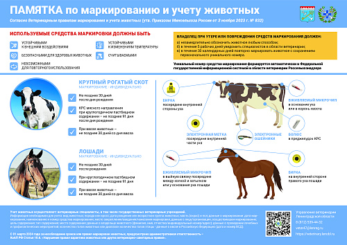 Обязательная маркировка и учет сельскохозяйственных животных 