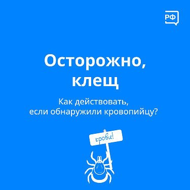Осторожно! Клещ!