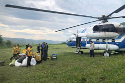 За минувшие сутки в Иркутской области ликвидировано восемь лесных пожаров