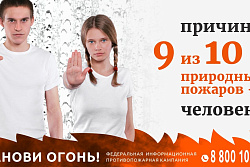 Иркутская область присоединилась к противопожарной кампании «Останови огонь!»