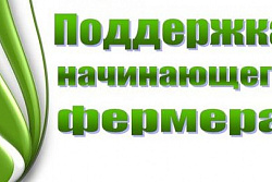 Извещение о проведении конкурсного отбора начинающих фермеров Иркутской области на право получения гранта в форме субсидий на создание и развитие крестьянского (фермерского) хозяйства