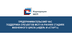 Результаты проведеннного Предпринимательского часа по поддержке субъектов МСП 