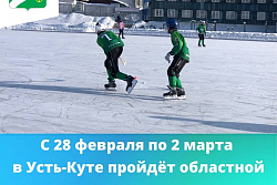 В Усть-Куте с 28 февраля по 2 марта пройдёт областной турнир по хоккею с мячом на призы ИНК